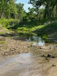 35 Longview Creek Trail - Photo 5
