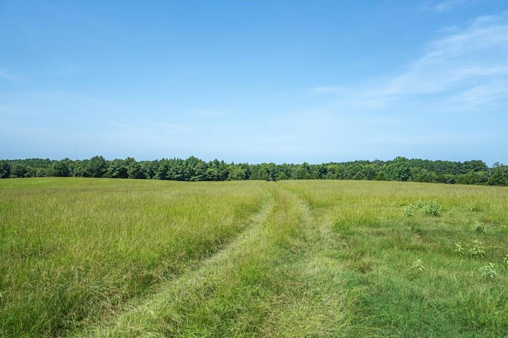 00 County Road 4501 - Photo 19