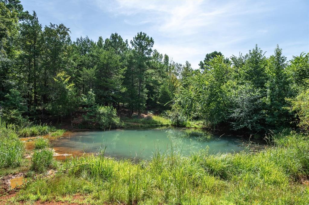 00 County Road 4501 - Photo 20