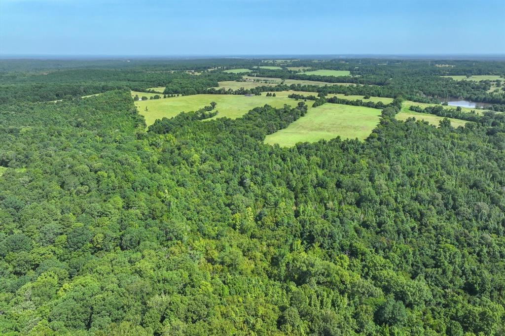 00 County Road 4501 - Photo 22