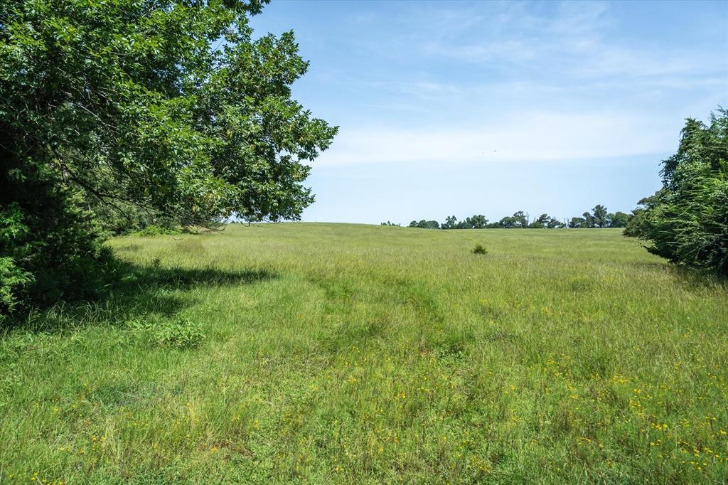 00 County Road 4501 - Photo 29