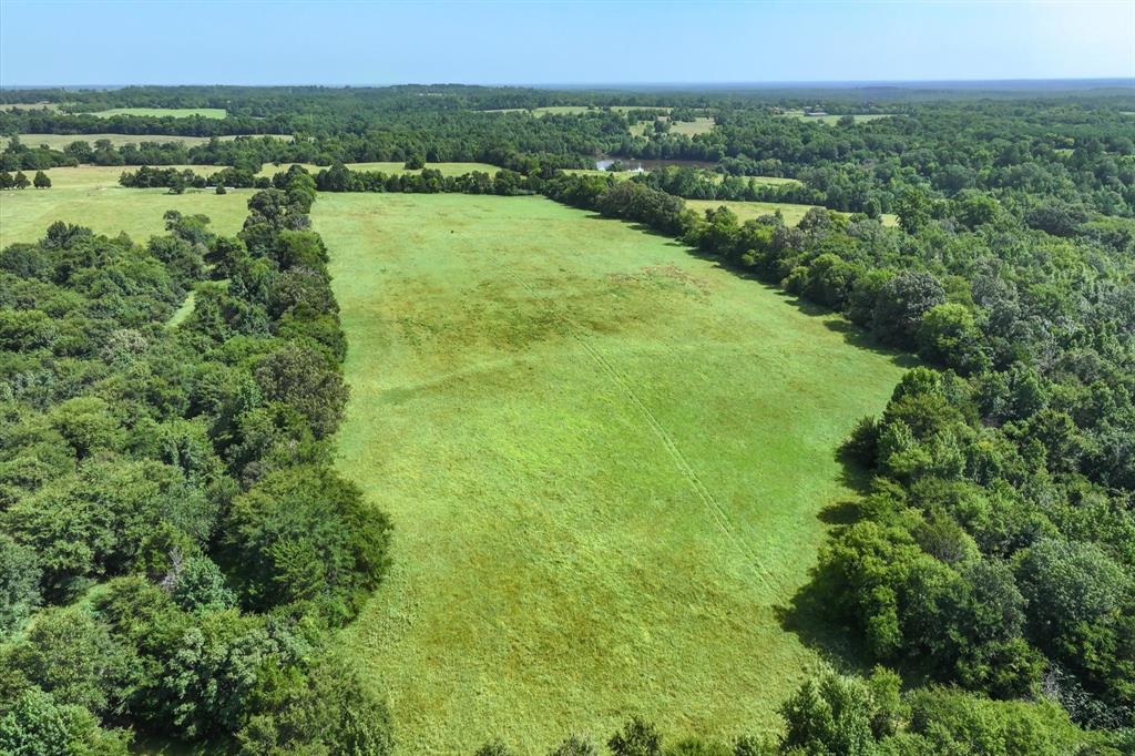 00 County Road 4501 - Photo 30