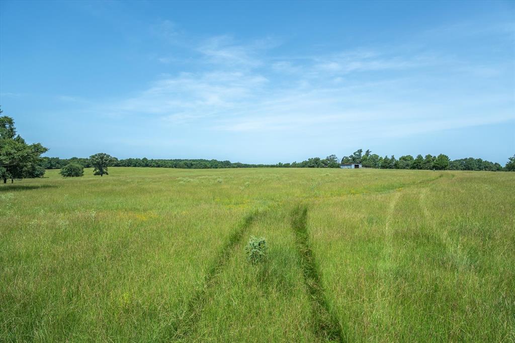 00 County Road 4501 - Photo 31