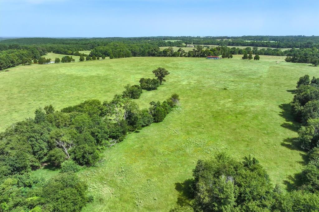 00 County Road 4501 - Photo 33