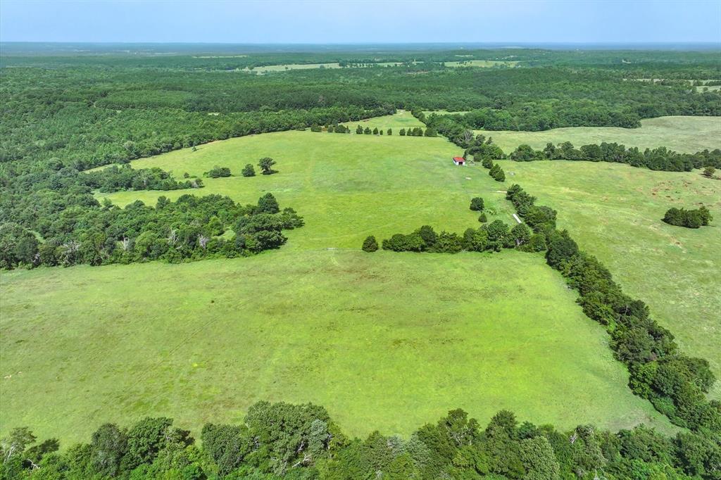 00 County Road 4501 - Photo 34