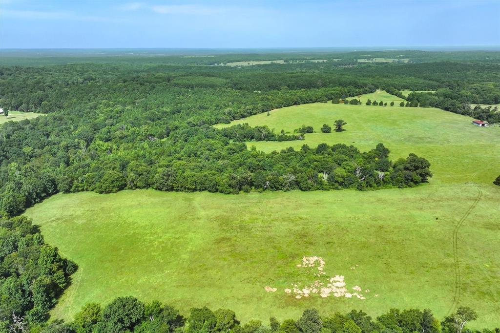 00 County Road 4501 - Photo 35