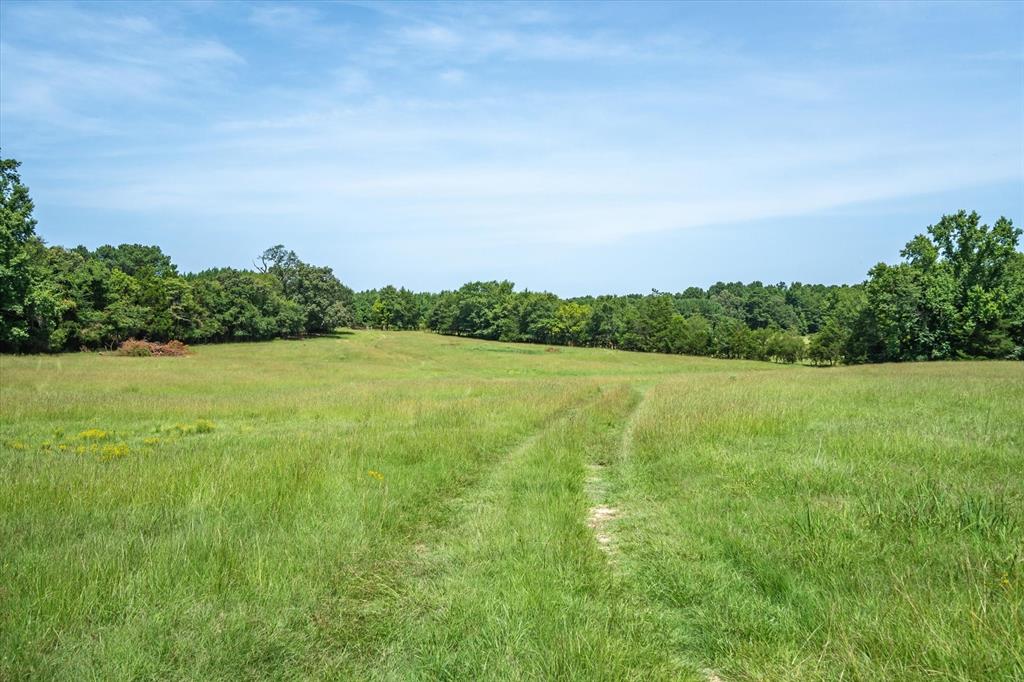00 County Road 4501 - Photo 40