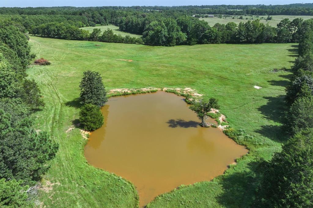 00 County Road 4501 - Photo 7
