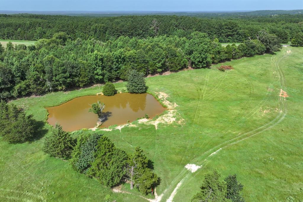 00 County Road 4501 - Photo 8
