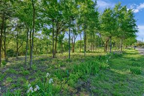 Lot 2A-1 Thompson Heights Drive - Photo 9