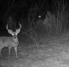 TBD Reeves Rd - Photo 12