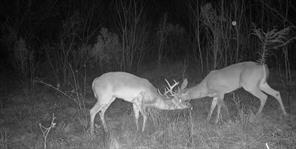 TBD Reeves Rd - Photo 13