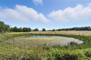 138 Acres County Road 1124 - Photo 10