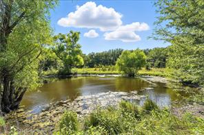 138 Acres County Road 1124 - Photo 11