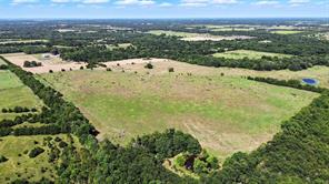 138 Acres County Road 1124 - Photo 4