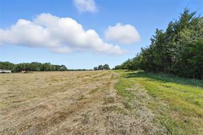 138 Acres County Road 1124 - Photo 7