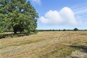 138 Acres County Road 1124 - Photo 8