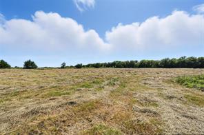 138 Acres County Road 1124 - Photo 9