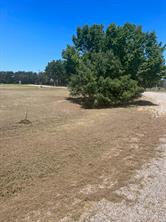 37 Hanna Cove Drive - Photo 10