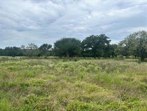 Lot 5 County Road 380 - Photo 10