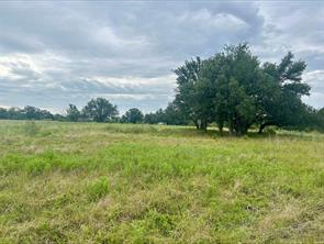 Lot 5 County Road 380 - Photo 12