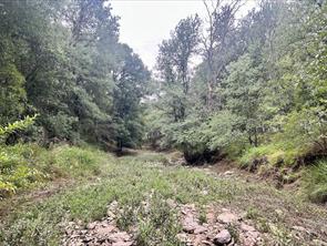 Lot 5 County Road 380 - Photo 15