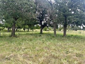 Lot 5 County Road 380 - Photo 17