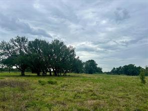 Lot 5 County Road 380 - Photo 18