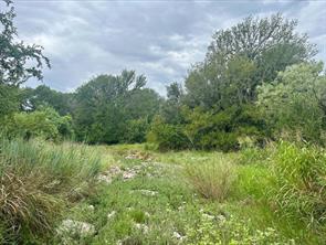 Lot 5 County Road 380 - Photo 8