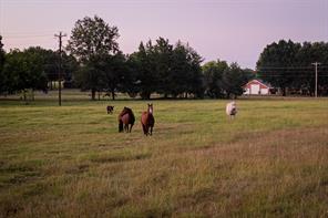 12701 FM 2010 - Photo 22