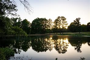 12701 FM 2010 - Photo 36
