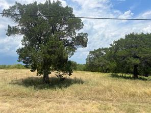 28005 White Bluff Drive - Photo 3
