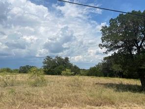 28005 White Bluff Drive - Photo 4