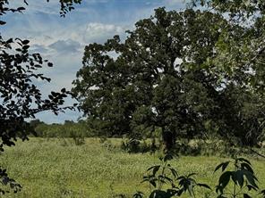 TBD HWY 6 - Photo 28