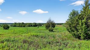 TBD W US Highway 82 - Photo 18