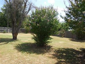 316 Mesquite Street - Photo 3