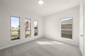 741 Scarlet Sage Drive - Photo 12