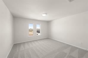 741 Scarlet Sage Drive - Photo 13