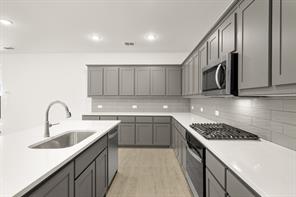741 Scarlet Sage Drive - Photo 9