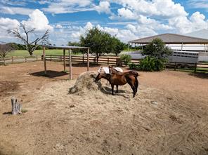 510 Prestonwood Polo Drive - Photo 15