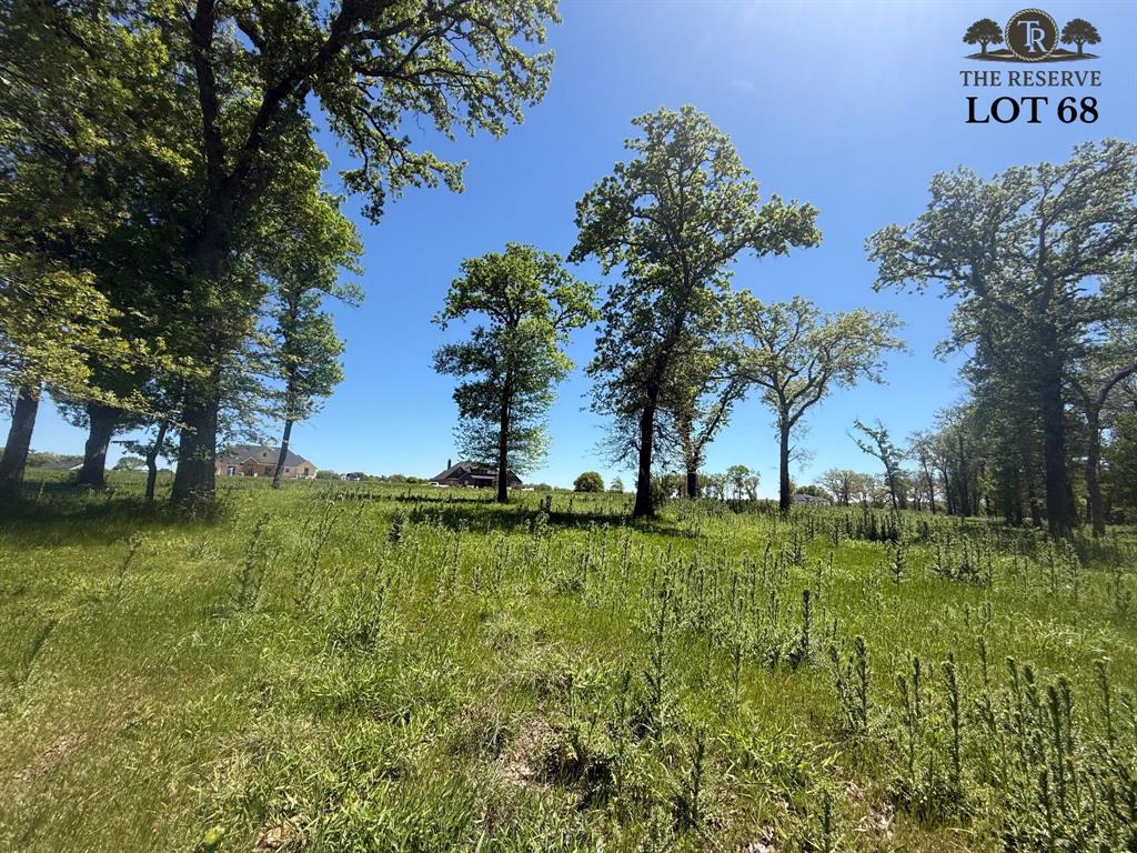 Lot 68 Camden Lane - Photo 1