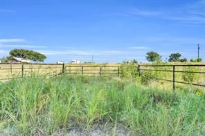 TBD Old Buena Vista Road - Photo 17
