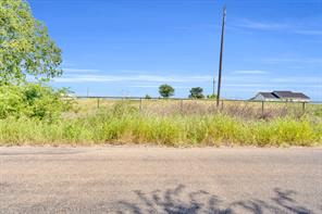 TBD Old Buena Vista Road - Photo 19