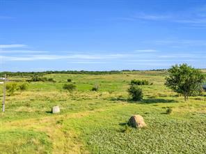 TBD Old Buena Vista Road - Photo 3