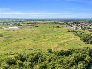 TBD Old Buena Vista Road - Photo 6