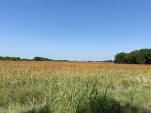 450 County Road 16060 - Photo 2