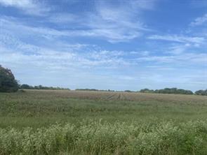450 County Road 16060 - Photo 3