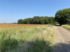 450 County Road 16060 - Photo 4