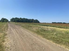 450 County Road 16060 - Photo 5