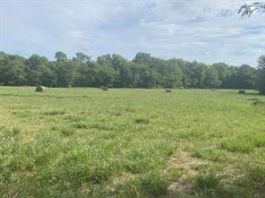529 County Road 16060 - Photo 2